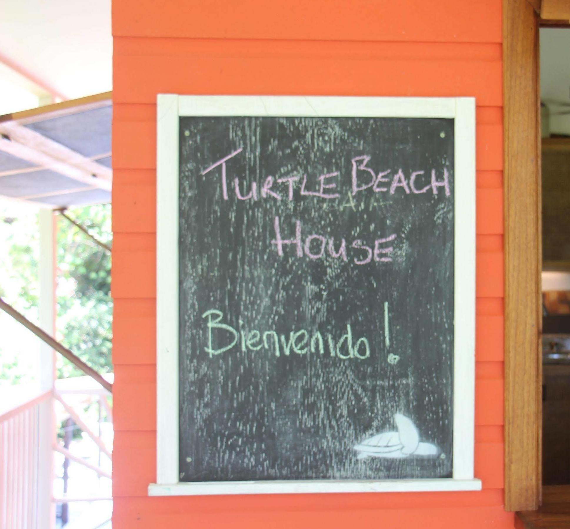 Turtle Beach House Bocas del Toro Exteriér fotografie